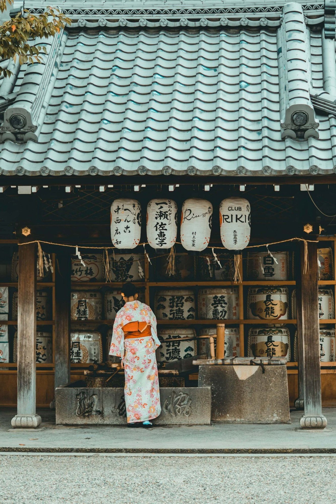 redd-francisco-Bxzrd0p6yOM-unsplash